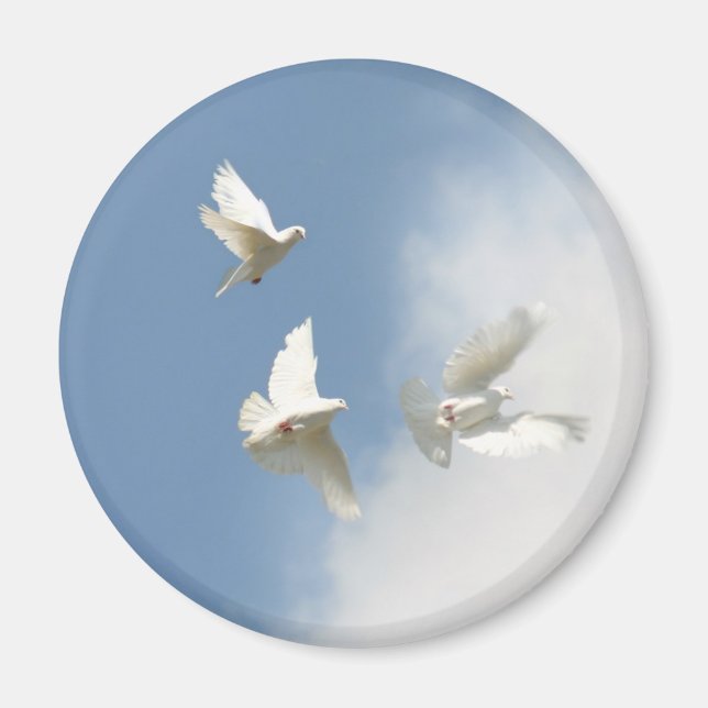 flying white doves magnet (Front)