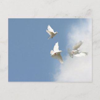 Flying white doves postcard