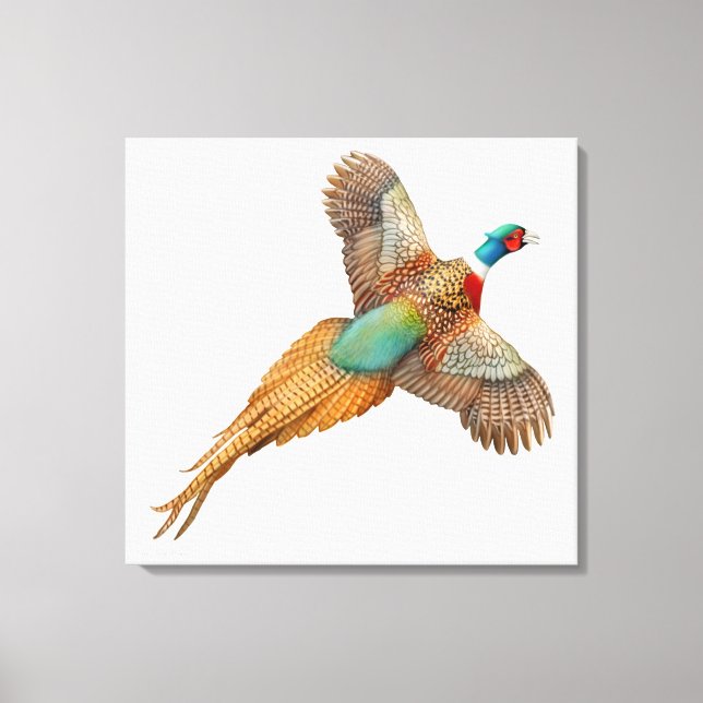 Flying Wild Ringneck Pheasant Wrapped Canvas (Front)