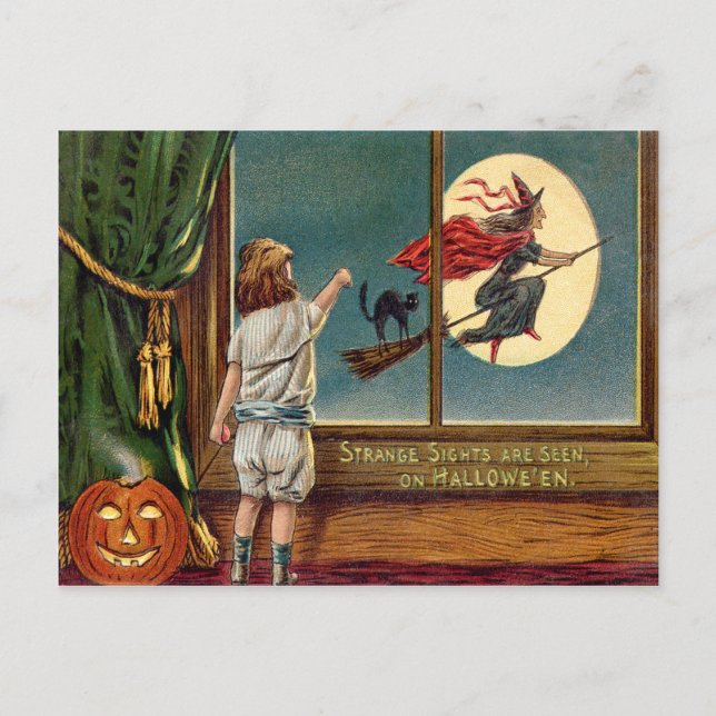 Flying Witch Black Cat Ful Moon Pumpkin Postcard (Front)