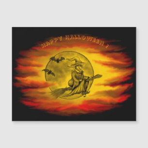 Flying witch with black cat , halloween night