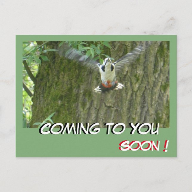 Flying Woodpecker Coming to You Soon Postcard (Front)