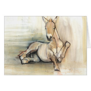 Foal 2012