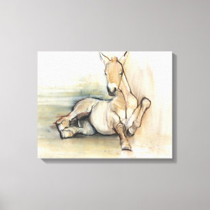 Foal 2012 canvas print