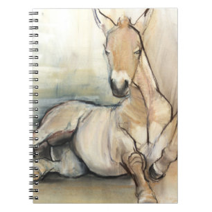 Foal 2012 notebook