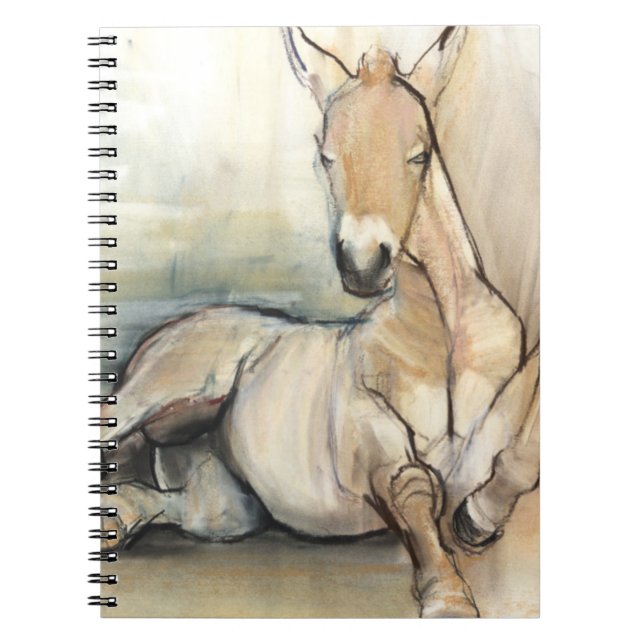 Foal 2012 notebook (Front)
