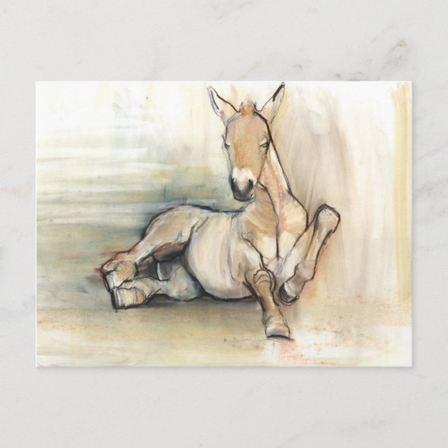 Foal 2012 postcard (Front)