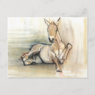 Foal 2012 postcard