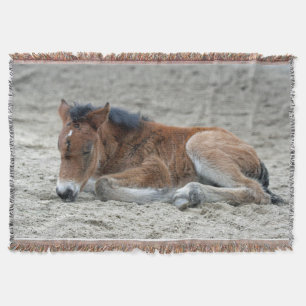 Foal 2014-0901 throw blanket