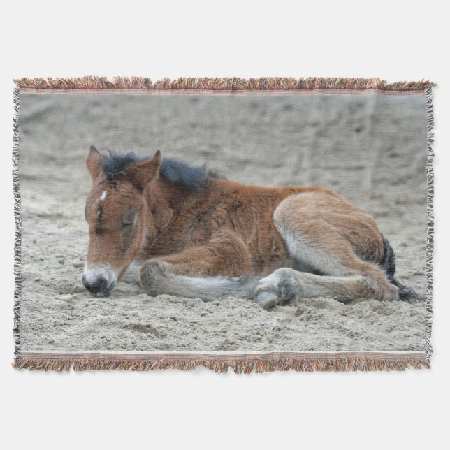 Foal 2014-0901 throw blanket (Front)