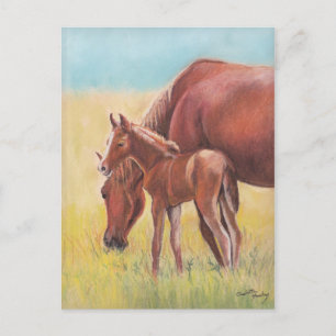 Foal and Mare Horse Art Postcard