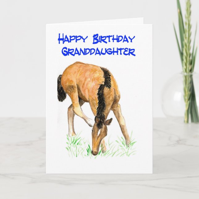 'Foal' Birthday Card for Granddaughter (Front)