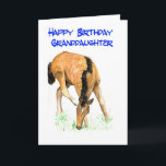 'Foal' Birthday Card for Granddaughter<br><div class="desc">A Birthday Card for a granddaughter with a foal design on the front,  from a watercolor painting by Judy Adamson. 'Happy Birthday' inside. See also matching gifts and apparel.</div>