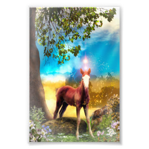 Foal Horse in Paradise Photo Print