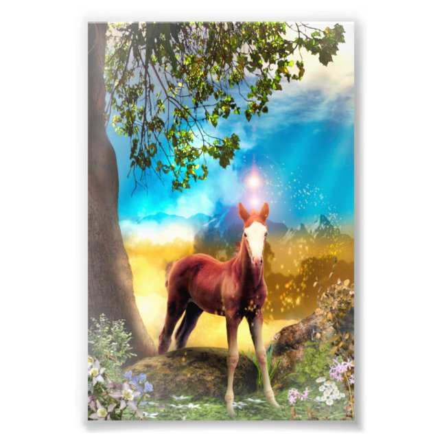 Foal Horse in Paradise Photo Print (Front)
