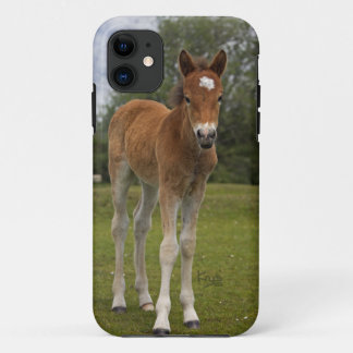 Foal iPhone 5 Case