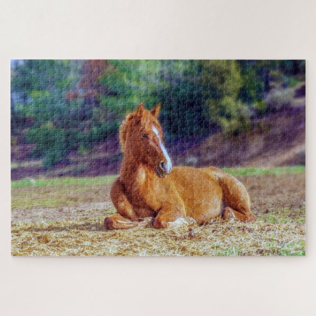 Foal laying down in field jigsaw puzzle (Horizontal)