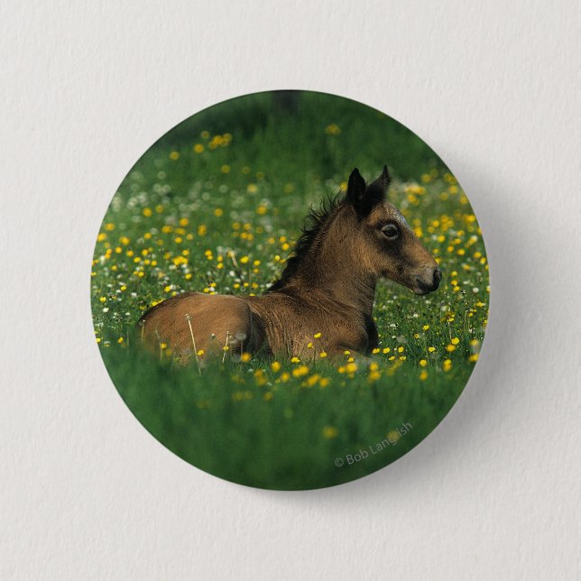 Foal Laying Down in Flowers 6 Cm Round Badge (Front)