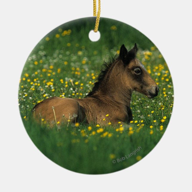 Foal Laying Down in Flowers Ceramic Tree Decoration (Front)