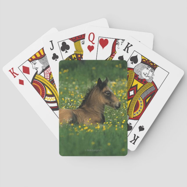 Foal Laying Down in Flowers Playing Cards (Back)
