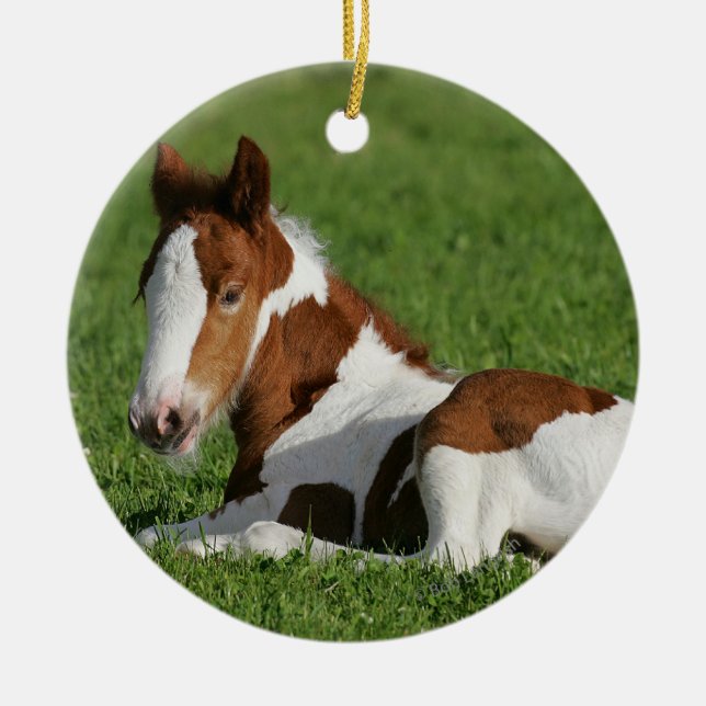 Foal Laying in Grass Ceramic Tree Decoration (Front)