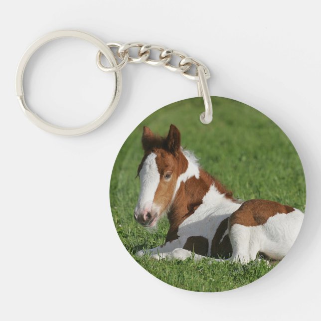 Foal Laying in Grass Key Ring (Front)