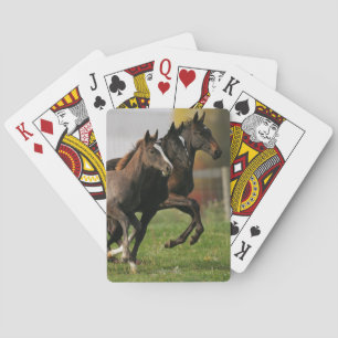 Foal Running Playing Cards