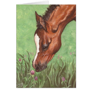 Foal Sniffing Clover