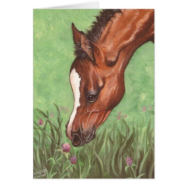 Foal Sniffing Clover (Front)