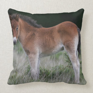 Foal Standing Cushion