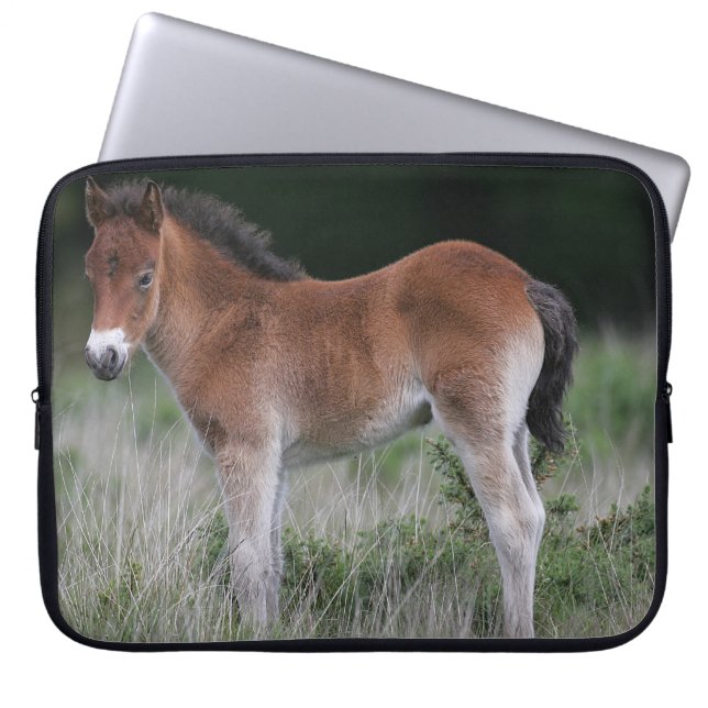Foal Standing Laptop Sleeve (Front)