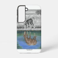 Foal Water Reflection of Horse