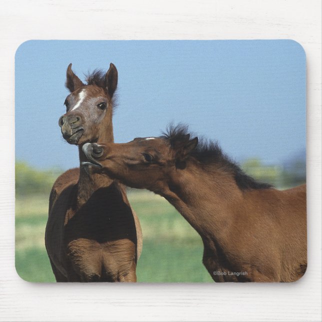 Foals Playing 2 Mouse Mat (Front)