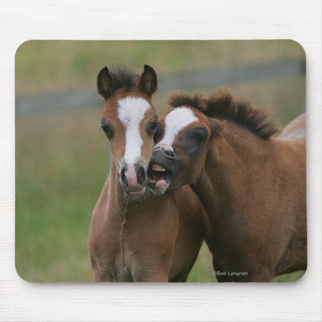 Foals Playing Mouse Mat (Front)