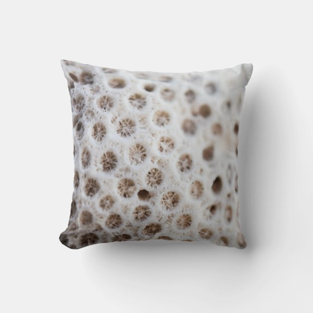 Foam Cushion (Front)