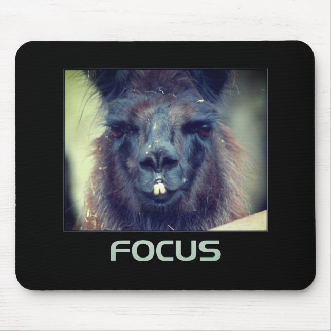 Focus Black Llama Inspirational Mouse Mat (Front)