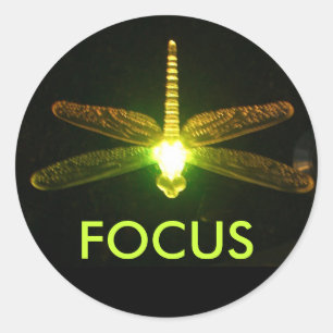 Focus Classic Round Sticker