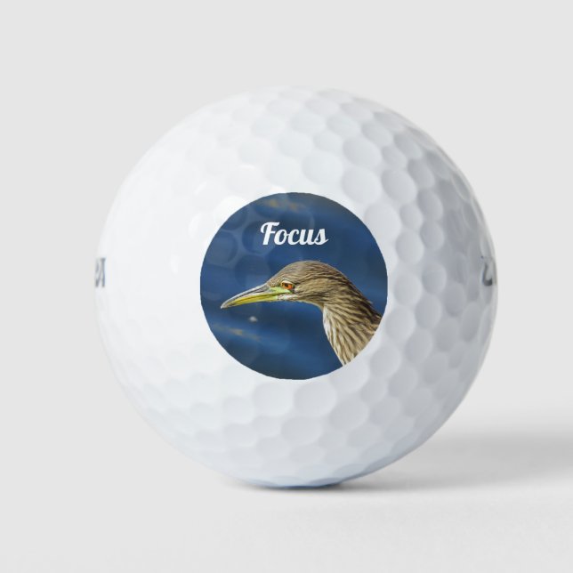 Focus Concentration Brown Bird Serious Golfer Golf Balls (Front)