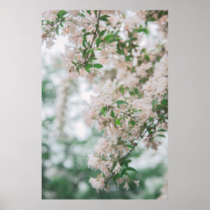 FOCUS PHOTOGRAPHY OF PINK FLOWERS POSTER