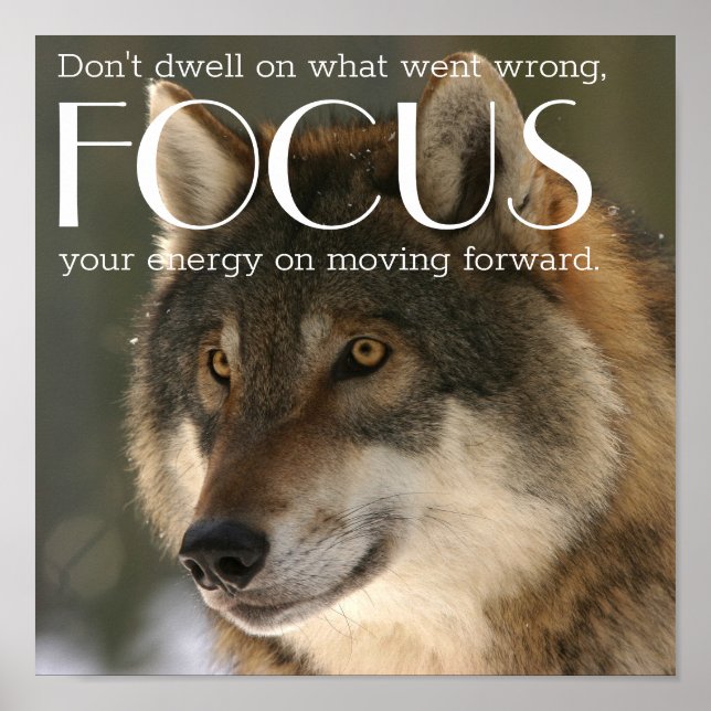 Focus Quote on Wolf Image Encouragement Poster (Front)