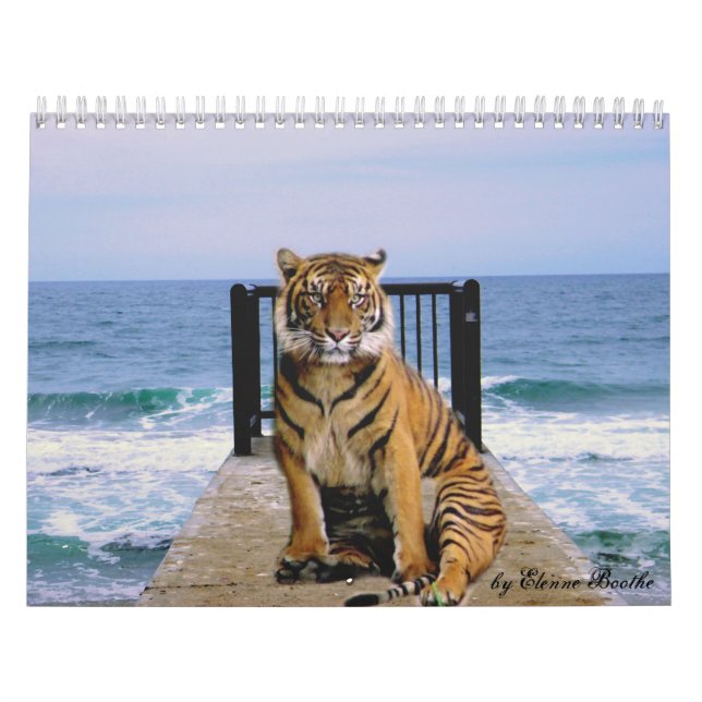 Focus & Strength_2010 Calendar-by Elenne Boothe Calendar (Cover)
