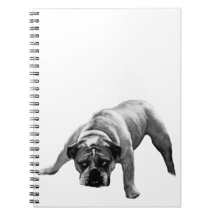 Focus With Bulldog Notebook