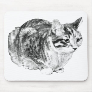 Focused Tabby, Velvet Desk Tones Mouse Mat