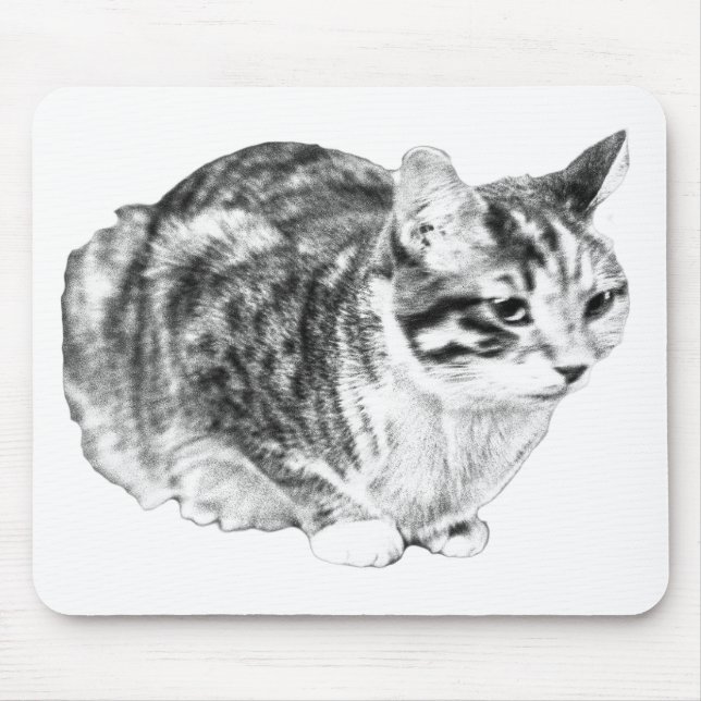 Focused Tabby, Velvet Desk Tones Mouse Mat (Front)