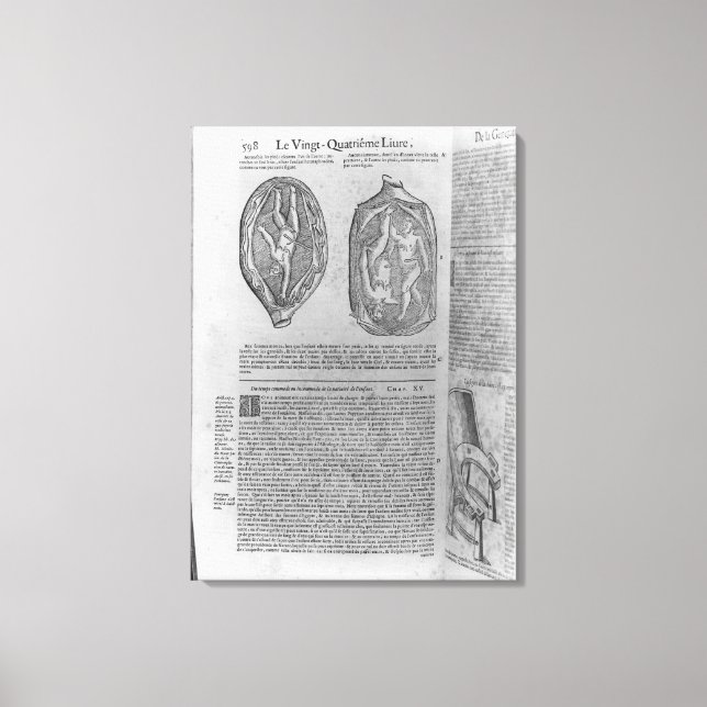 Foetus, illustration from 'Oeuvres' Canvas Print (Front)