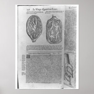 Foetus, illustration from 'Oeuvres' Poster