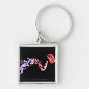 Foetus with an umbilical cord made of DNA strands Key Ring