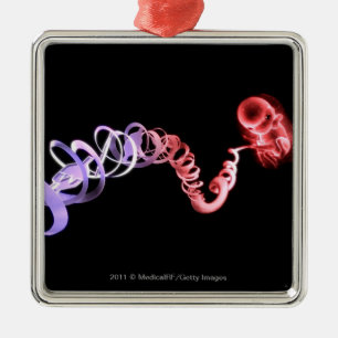 Foetus with an umbilical cord made of DNA strands Metal Tree Decoration