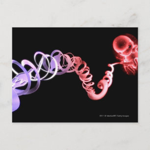 Foetus with an umbilical cord made of DNA strands Postcard