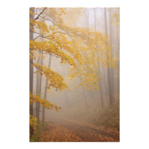 Fog and Autumn foliage, Great Smoky Mountains Photo Print